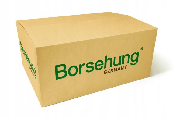 Borsehung B18209 B18209 важіль штока + шток vw 1.6 16 шт.