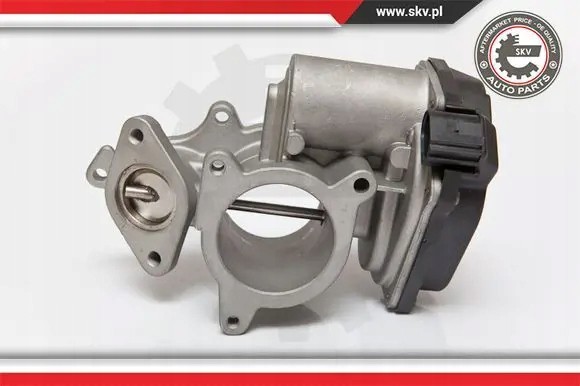 ESEN SKV 14SKV083 Клапан egr agr 14skv083 esen skv audi a6 c6