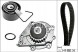 Schaeffler INA 530 0376 30 INA/BOX Комплект ГРМ INA з помпою води для Land Rover Freelander