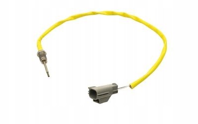 FT80255_N Fast FT80255 датчик, температура вихлопних газів