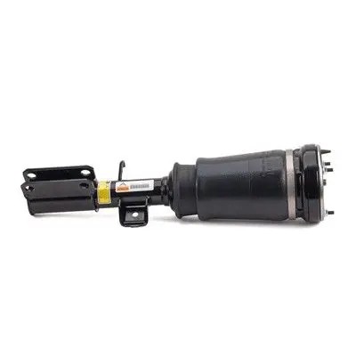 Arnott AS-276 54 2x повітряні амортизатори Arnott FRONT L+R для BMW X3 E53