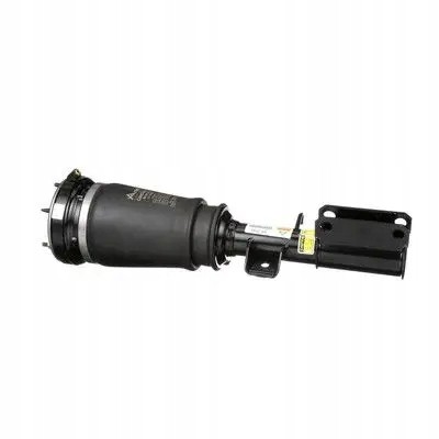 Arnott AS-276 54 2x повітряні амортизатори Arnott FRONT L+R для BMW X3 E53