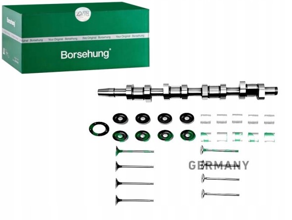 Borsehung B17129 Набір напр.Валу грм fab oct room borsehung