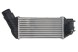 Thermotec DAC019TT Охолоджувач впускного повітря thermotec dac019tt