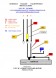 LK-LEMAR Zp-pal.B E-39/5D BMW Паливопроводи BMW E-39 - DIESEL комплект 5 шт