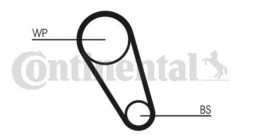 CT1169 CONTINENTAL Пас ГРМ з довжиною кола понад 60см але не більш як 150см