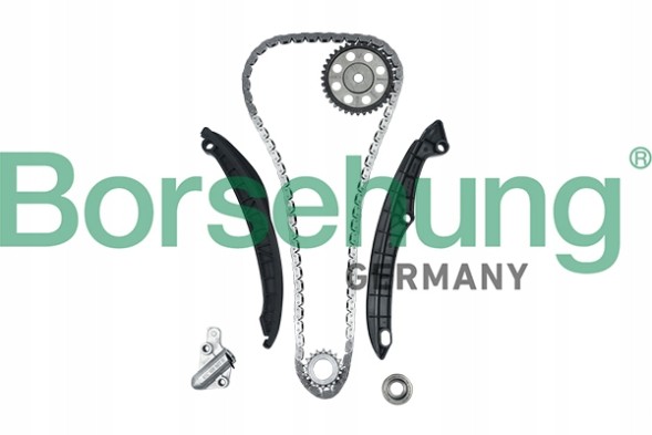 Borsehung B16299 Комплект грм 1.4 / 1.6 tsi skoda vw seat 03c198229b b16299