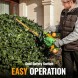 AD BRAKE B0DK13QB3B АКУМУЛЯТОРНІ НОЖИЦІ ДЛЯ ЖИВОПЛОТУ 20В ЕЛЕКТРИЧНИЙ САДОВИЙ КУЩОРІЗ