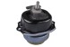 V-maxzone Part VIC-288015 Подушка двигуна для BMW X5 (E70), X5 (F15, F85), X6 (E71, E72), X6 (F16)
