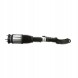 Arnott AS-315 43 2x повітряні амортизатори Arnott FRONT L+R для MERCEDES-BENZ GLE (W166)