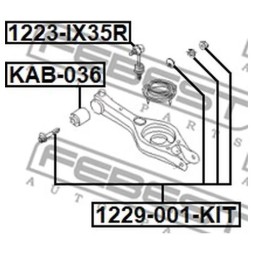 1229 001 KIT FEBEST Болт підвіски з ексцентриком