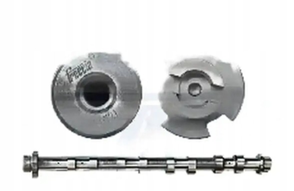 Freccia CM05-2351 Розпредільний вал для впускних клапанів cm05-2351