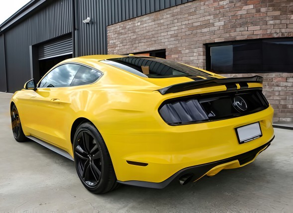 Китай AC-S0077 Лоток спойлер Ford Mustang 2015-2021 Блейд Стиль чорний глянець