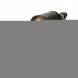 BM Catalysts BM11016 Bm catalysts bm11016 фільтр сажі / сажовий фільтр, вихлопна система
