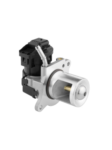 Wahler 710095D/1 Wahler 710095d/1 агр клапан