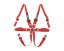 QMS QMSCINT6HALR26 Ремені безпеки QMS 6-точкові FIA HANS ALU 3+2 червоні (червоного кольору) дійсні до 2026 року