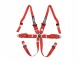 QMS QMSCINT6HALR26 Ремені безпеки QMS 6-точкові FIA HANS ALU 3+2 червоні (червоного кольору) дійсні до 2026 року