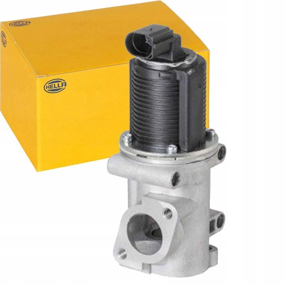 Hella 6NU 010 171-541 Hella 6nu 010 171-541 агр клапан