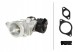 Hella 6NU 010 171-671 Клапан egr hella 6nu 010 171-671