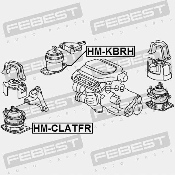 Febest HM-KBRH Febest гідроподушка двигуна права