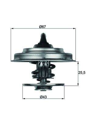 TX 18 79D MAHLE ORIGINAL Термостат