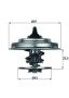 TX 18 79D MAHLE ORIGINAL Термостат
