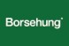 Borsehung B11501 Borsehung b11501 вентилятор, охолодження двигуна