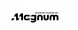 Magnum Technology Ресора в зборі MAGNUM TECHNOLOGY MLS-67517000