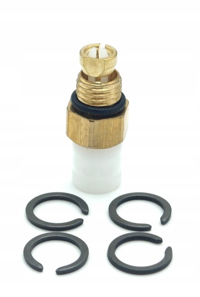 Proteile 4F0616040 Airautopl Пневмоподушка передньої підвіски Audi A6 C6 4F Allroad (передня)