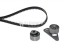 Flennor 0831.25, 0831.29, 4301V, FS02100, FS02109 КОМПЛЕКТ ГРМ CITROEN / PEUGEOT