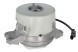 V-maxzone Part VIC-245904 Подушка двигуна для MERCEDES CLS (C257), E ALL-TERRAIN (S213), E (C238), E