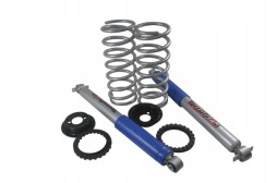 Terrafirma TF259T Комплект підвіски амортизатори + пружини +2" Land Rover Discovery 2 II
