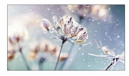Китай WEW-SC-AB-ULSAM046LVM46BU Монітор Samsung VM46B-U 46" FHD 500cd/m2 для відеостін, професійний, цілодобова робота 24/7