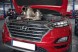 OEM F02U000 C02U000 C02F140 CU02100 18L28D007 LE42 Новий сажовий фільтр (DPF) Hyundai / Kia 1.6 CRDI