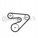 Continental 6PK1453WP1 Насос охолодження + комплект ременя ГРМ