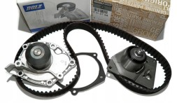 Renault OE 7701477048 & R219 ГРМ ВОДЯНИЙ НАСОС RENAULT 1.9 DCI 132 ЗУБ