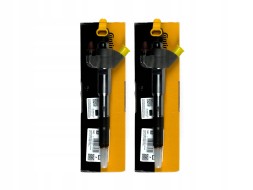 Renault OE mark-166009567R Ін'єкційний комплект 166009567R Renaut Master III IV 2.3 DCI 180к.с.