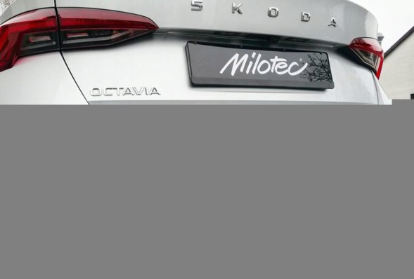 CHINA 4 688 22 Атрапа наконечника видиху, skoda octavia iv, al
