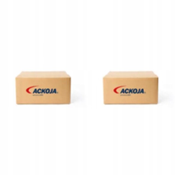 Ackoja A26-08-000 5 6 2x Насадки для омивача ламп ACKOJA L+P для HONDA CR-V II