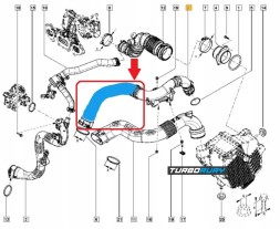Turborury 2506700008080 Труба інтеркулера турбо renault megane scenic iii 1.2 tce 144603116r