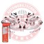 Master-Sport 36791-SET-MSP Маятники передні audi a4 2000-2004 36791-set-