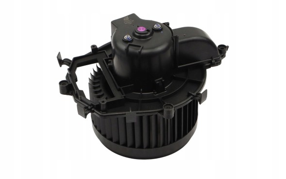 Fast FT00411 Повітродувка обігрівача citroen c4 grand picasso і 06>