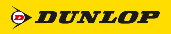 Dunlop ПОДУШКА ЗАДНЬОЇ ПІДВІСИ ЗАДНЯ LAND ROVER DISCOVERY 2 II DUNLOP RKB101200