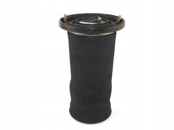 Dunlop RKB101200DUNLOP ПНЕВМОПОДУШКА ЗАДНЬОЇ ПІДВІСКИ - DI