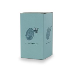 Blue Print ADBP430145 Гальмівний диск blue print adbp430145