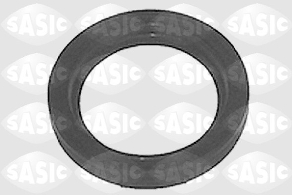 2360160 SASIC Сальник