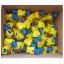 e-connectors 42831800/4H0973323/3-1718643-1/100 Вилки типу 4H0973323 (100 штук - тільки корпус)