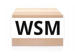 WSM Елементи насоса WSM 003-501S