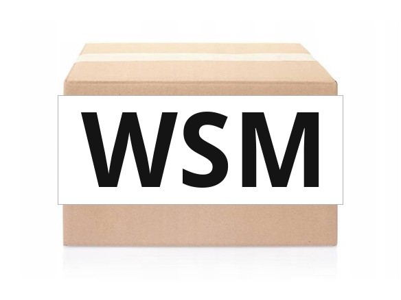 WSM Елементи насоса WSM 003-501S