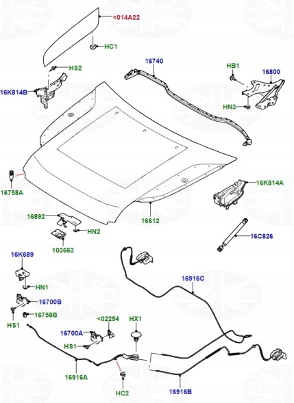 Land Rover OE Ліва кришка капоту Land Rover Defender L663 LR173854 LR146289 L8B216C629AD